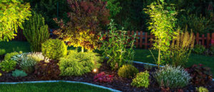 Landscape Lighting